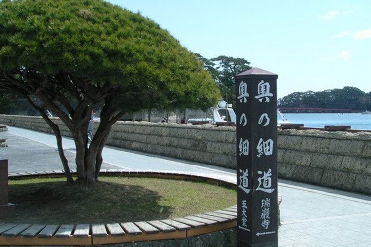 私は日本に旅行中