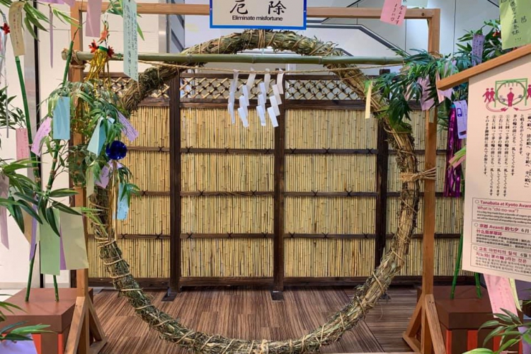 《俳句三人組的旅行.6》蝴蝶蝴蝶,起來起來