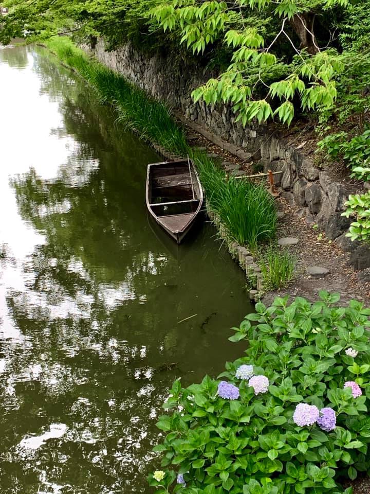 俳句三人組的旅行 11 黃昏的鳶尾花 旅行日本 南方旅行 王美霞 南方講堂 俳句三人組的旅行 11 黃昏的鳶尾花 旅行日本 南方旅行 王美霞 南方講堂