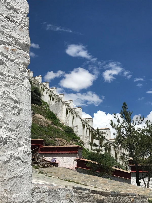 如神的所在：布達拉宮的鏡花水月13