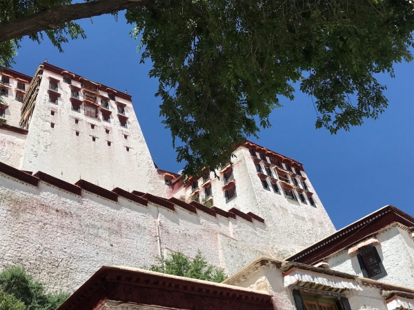 如神的所在：布達拉宮的鏡花水月16