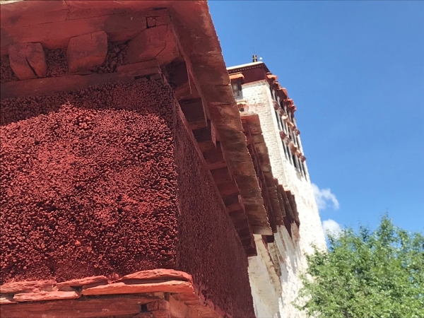 如神的所在：布達拉宮的鏡花水月18