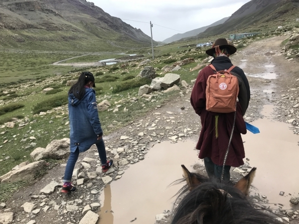 我和我的藏族馬伕12