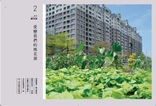 【南方誌】相信土地，相信人民，相信愛05