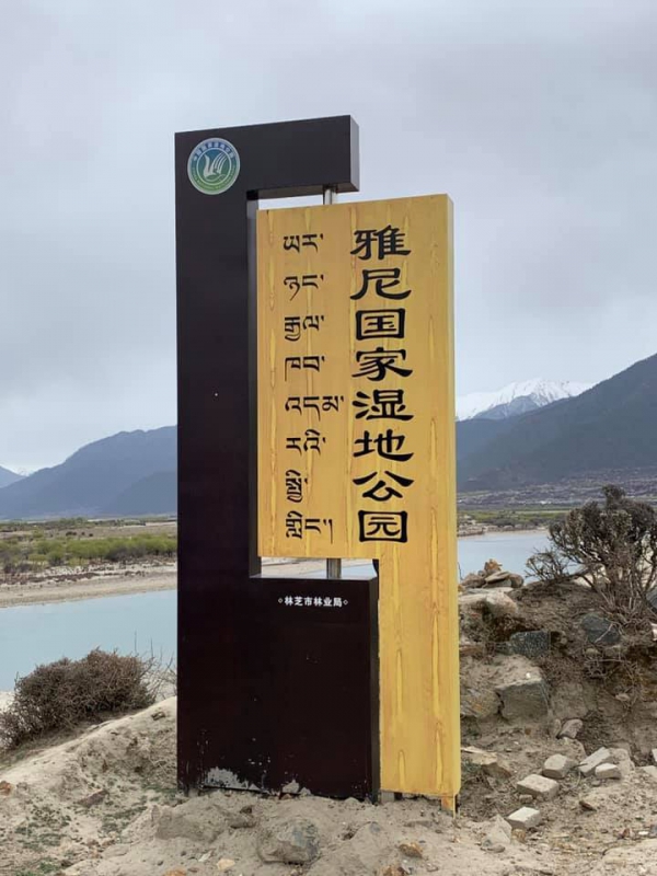 雅尼國家公園濕地04