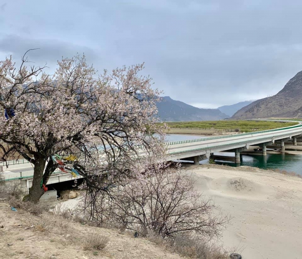 雅尼國家公園濕地05