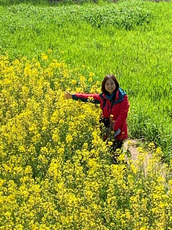 油菜花海17