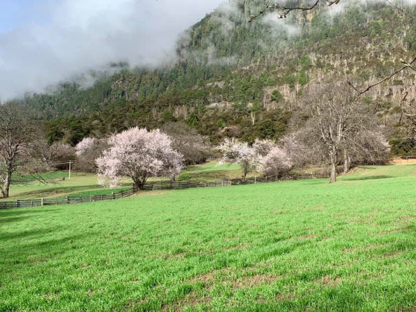 玉許桃花溝19