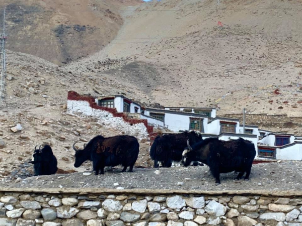 《西藏阿里行.13》海拔5200m的考驗18