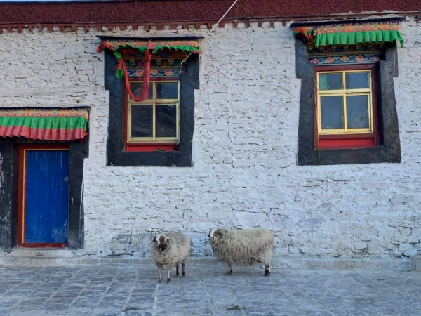 《西藏阿里行.15》日出絨布寺15