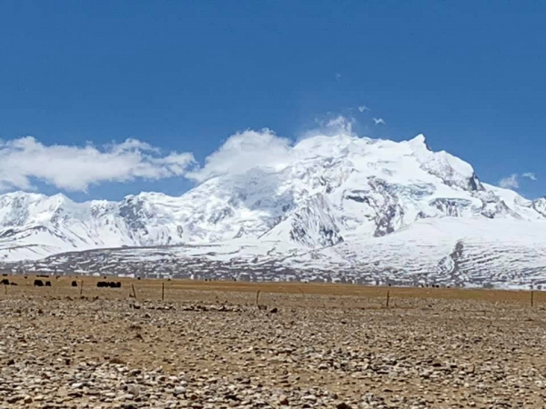 《西藏阿里行.18》放牧的草原08