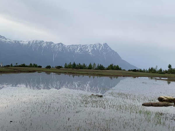 《西藏阿里行.20》在雪山的懷抱裡16