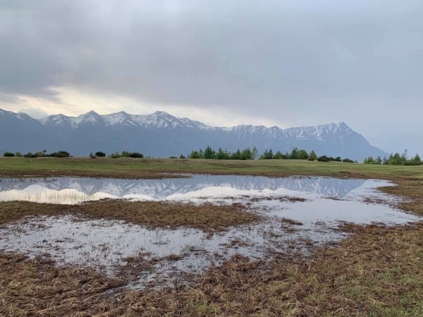 《西藏阿里行.20》在雪山的懷抱裡17