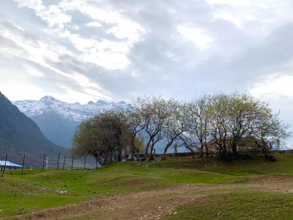 《西藏阿里行.20》在雪山的懷抱裡21