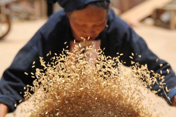 【普洱茶錄.作者序】亙古的茶山傳奇04