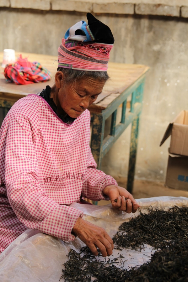 【普洱茶錄.作者序】亙古的茶山傳奇06