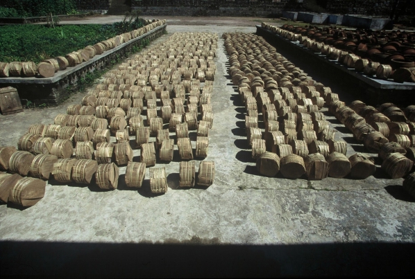 【普洱茶錄.作者序】亙古的茶山傳奇07