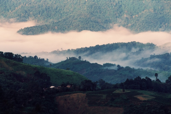 【普洱茶錄.作者序】亙古的茶山傳奇10