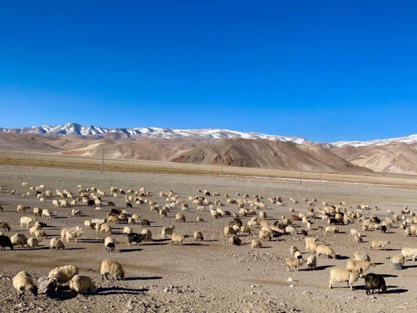 《西藏阿里行.40》冰封去路，夜宿獅泉河11
