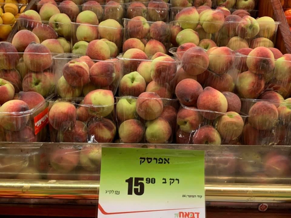 《旅行在以色列與約旦.16》阿桑的超市體驗10