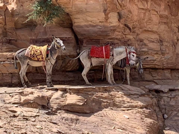 《旅行在以色列與約旦.29》神一般的殿堂04