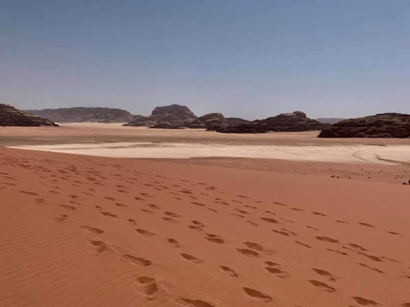 《旅行在以色列與約旦.31》鋪成一地的，詩05