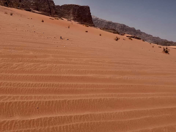 《旅行在以色列與約旦.31》鋪成一地的，詩09