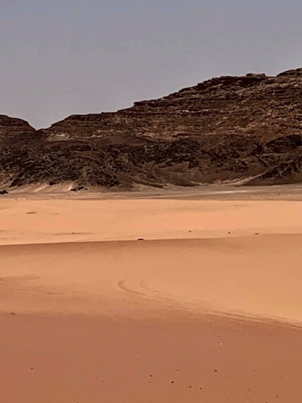 《旅行在以色列與約旦.31》鋪成一地的，詩17