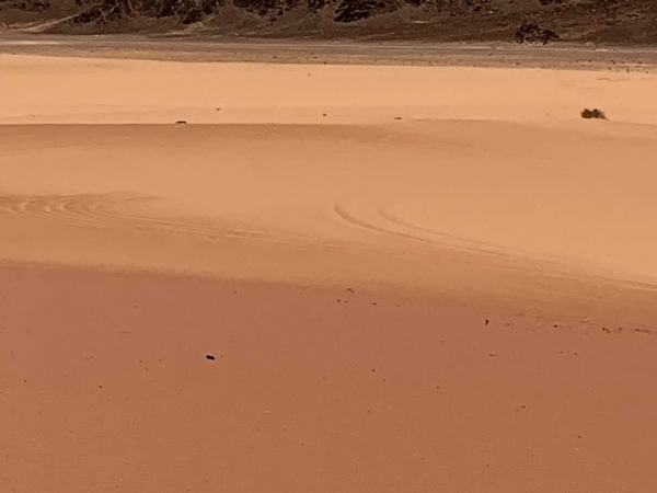 《旅行在以色列與約旦.31》鋪成一地的，詩21