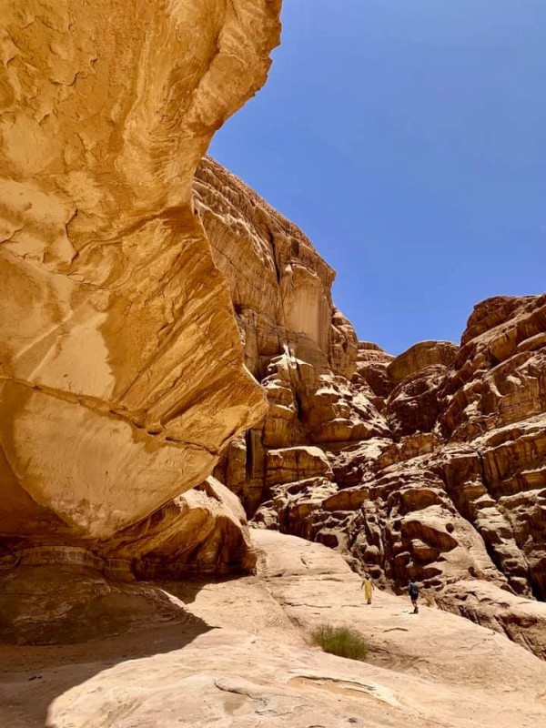 《旅行在以色列與約旦.31》鋪成一地的，詩22