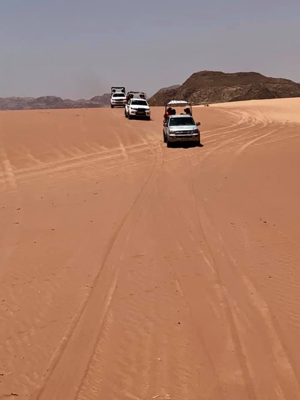 《旅行在以色列與約旦.31》鋪成一地的，詩23