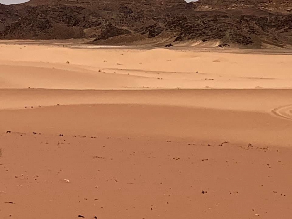 《旅行在以色列與約旦.31》鋪成一地的，詩25