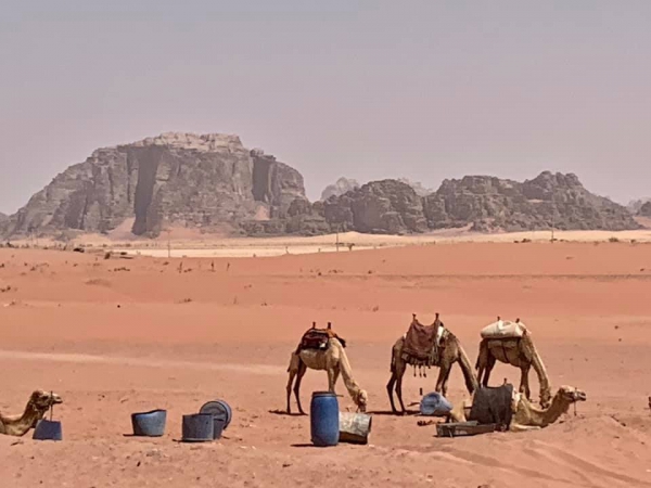 《旅行在以色列與約旦.31》鋪成一地的，詩26