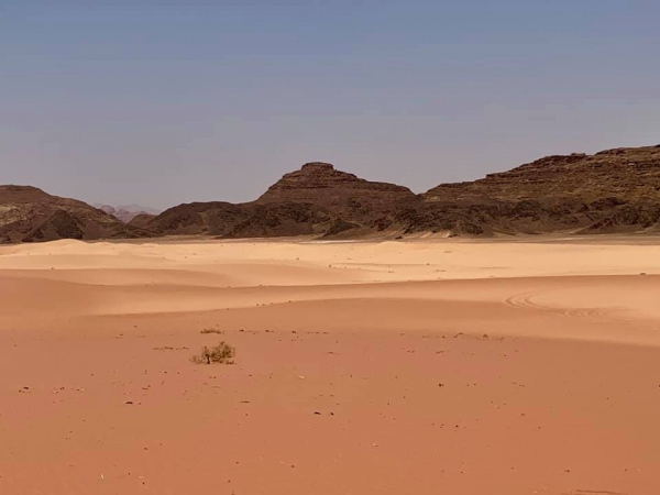 《旅行在以色列與約旦.31》鋪成一地的，詩27