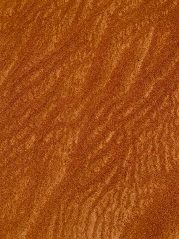 《旅行在以色列與約旦.31》鋪成一地的，詩35