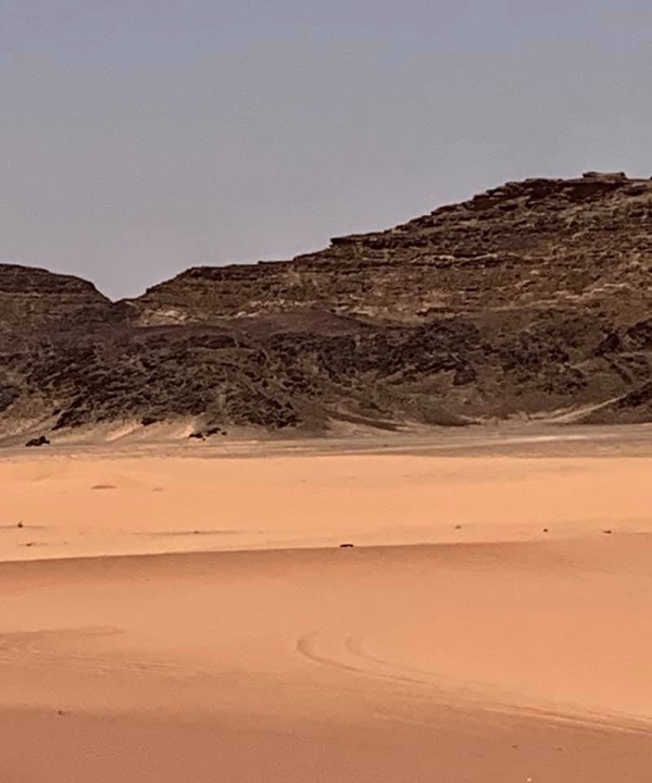 《旅行在以色列與約旦.31》鋪成一地的，詩36