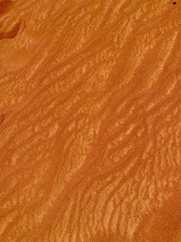 《旅行在以色列與約旦.31》鋪成一地的，詩39