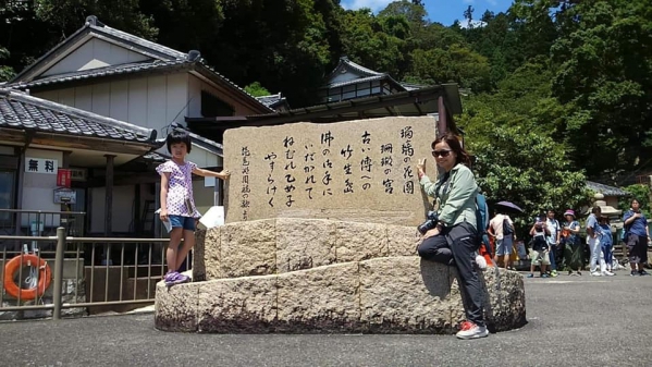 《在旅行中閱讀.14》深綠.竹生島01