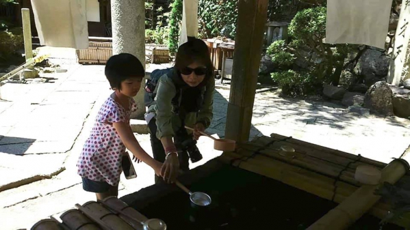 《在旅行中閱讀.14》深綠.竹生島32