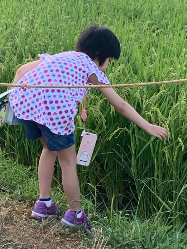 《在旅行中閱讀.15》和種子說話19