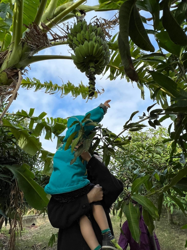 《如露.25》坐香蕉船的童年12