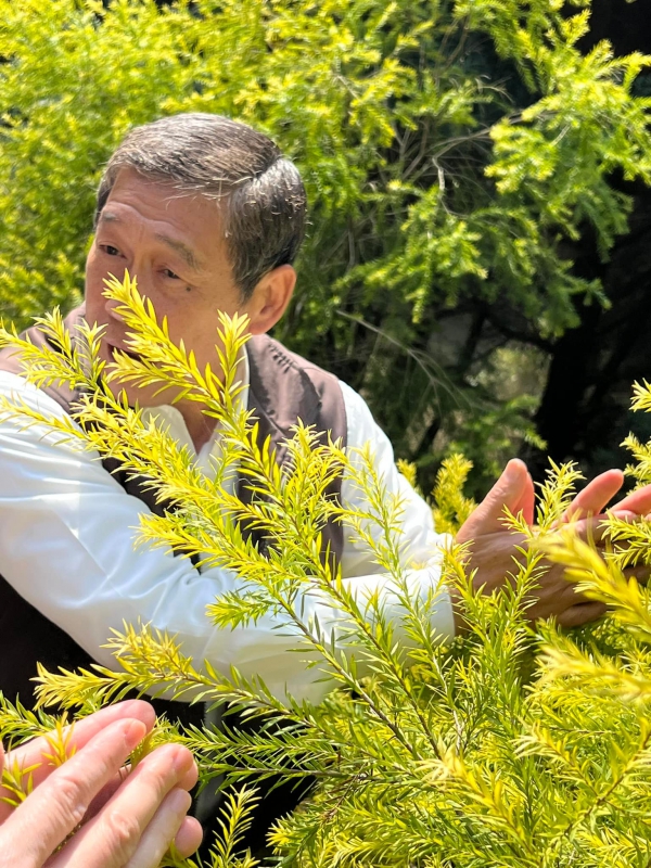 《如露.37》種樹的男人05