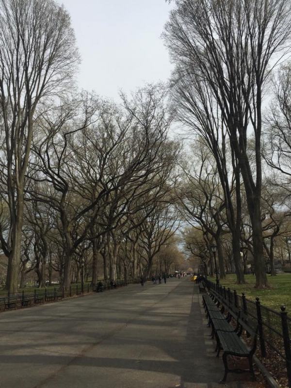 《如露.51》記憶潦草如墨03