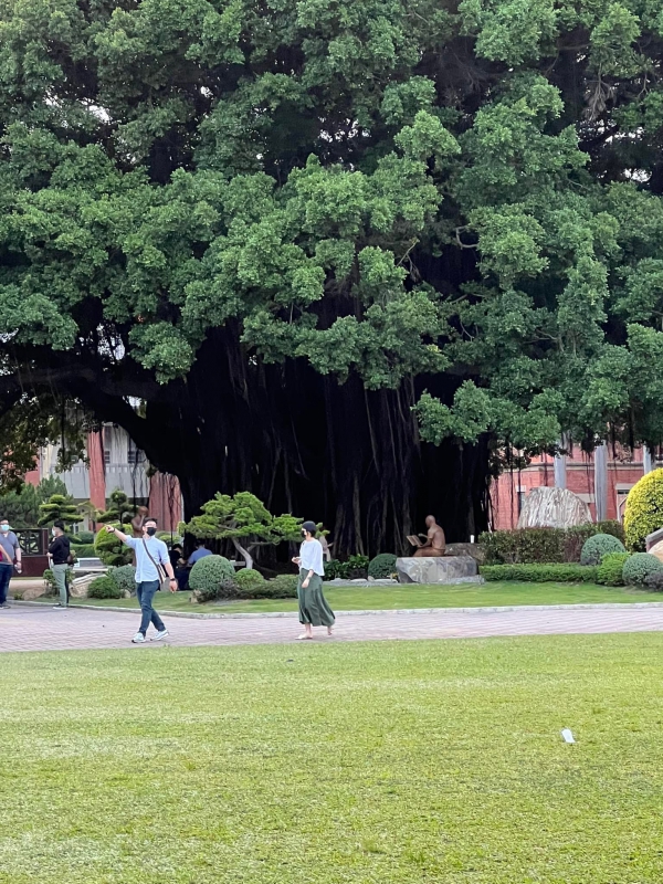 《如露.66》歸來依舊少年16