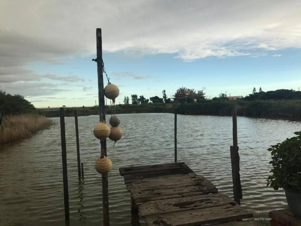 《如露.72》有魚08