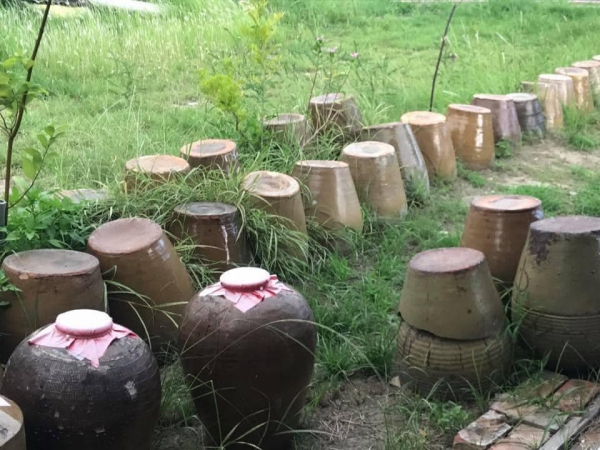 《如露.72》有魚11