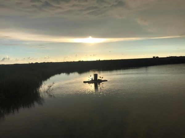 《如露.72》有魚12