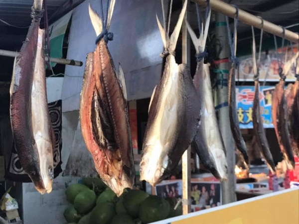 《如露.72》有魚20