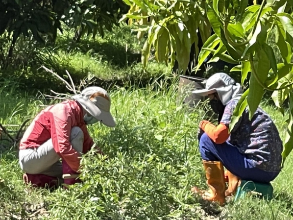 《如露.111》記得，叫上我！05